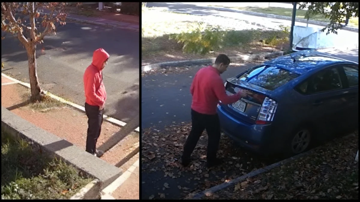 Harvard Lifts Lockdown After Shots Fired Near Campus