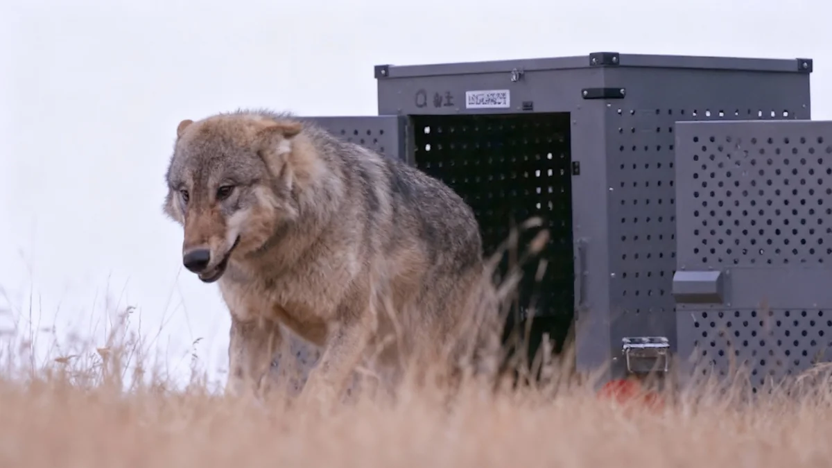 Colorado Migrant College Program Funding Cut