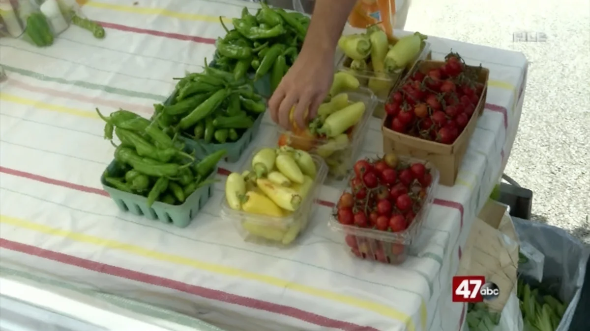 Somerset County Taps Veteran Educator as Interim Schools Chief